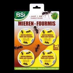 AMP 1 RB boîtes anti-fourmis 3 + 1gratuit