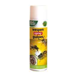 SPRAY GUÊPES