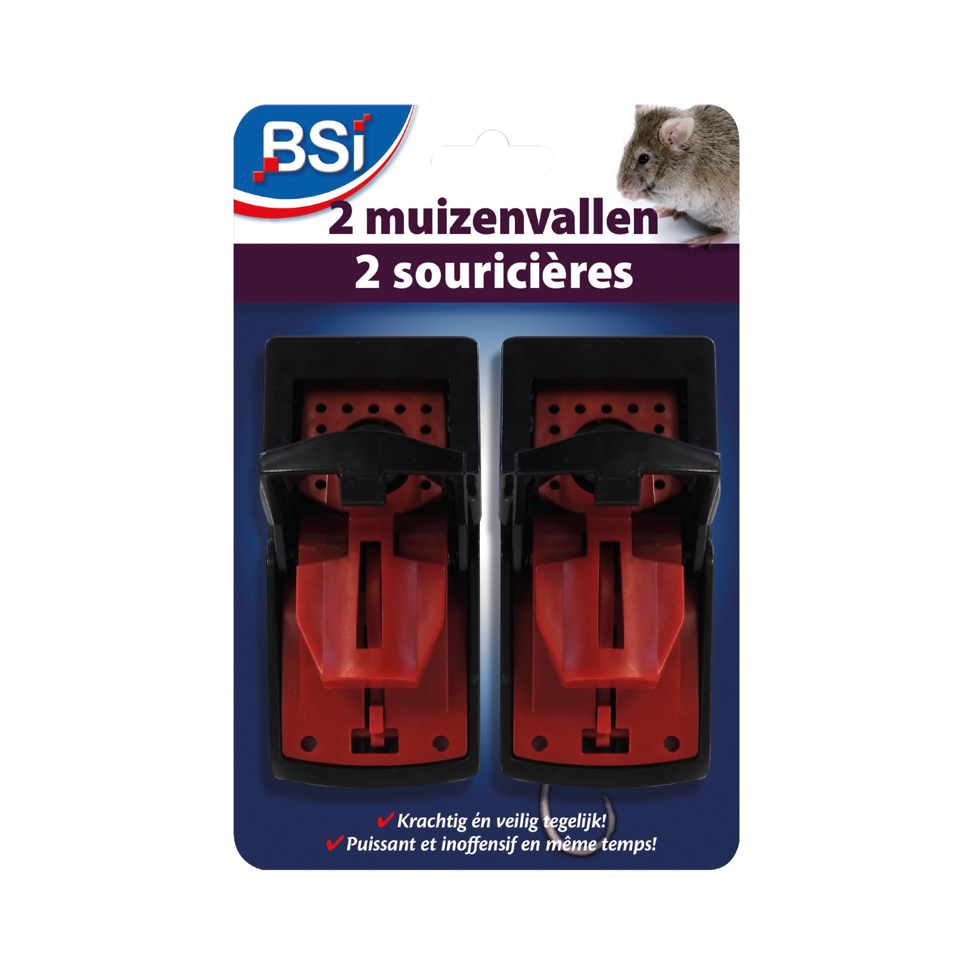2 PIÈGES À SOURIS