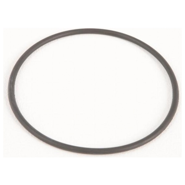 Bestway Joint bouchon de filtre pour pompe de filtration 1500gal (GS)