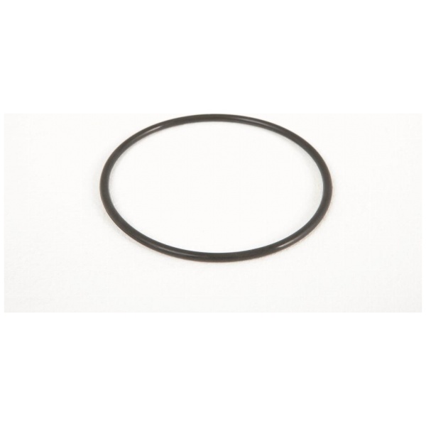 Bestway Joint torique de crépine pour filtre à sable à l’exception de 530gal