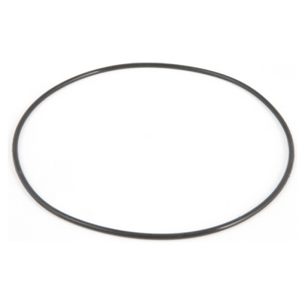 Bestway Joint torique pour cuve de filtre à sable 530gal