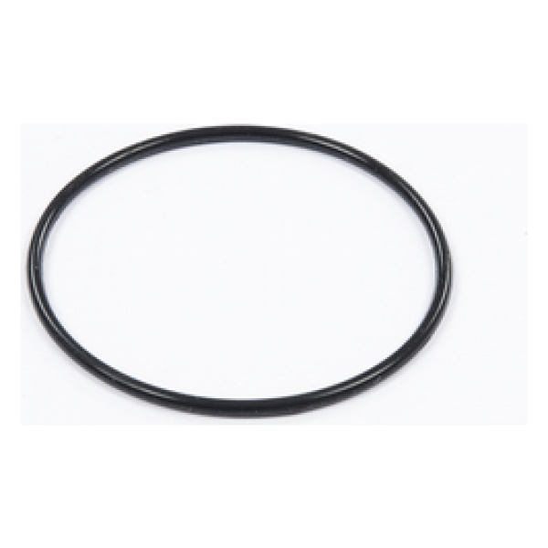Bestway Joint torique de crépine pour filtre à sable 530gal