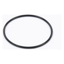 Bestway Strainer O-ring voor 530gal Zandfilter