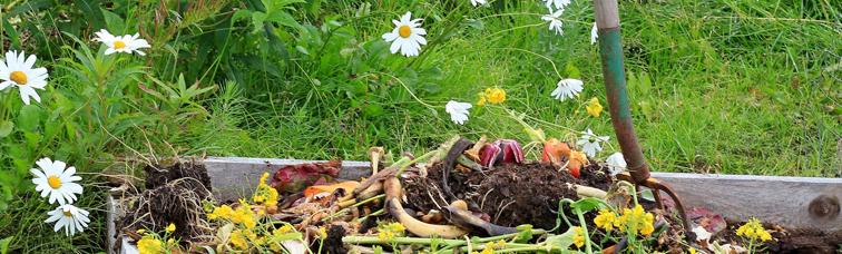 Pourquoi est-il bon de collecter du compost ?